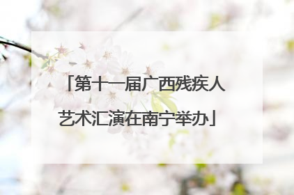 第十一届广西残疾人艺术汇演在南宁举办