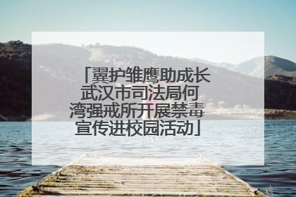 翼护雏鹰助成长 武汉市司法局何湾强戒所开展禁毒宣传进校园活动