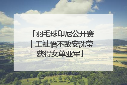 羽毛球印尼公开赛｜王祉怡不敌安洗莹 获得女单亚军