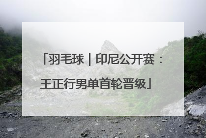 羽毛球｜印尼公开赛：王正行男单首轮晋级