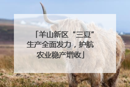 羊山新区“三夏”生产全面发力，护航农业稳产增收