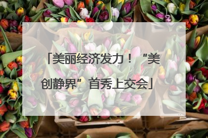 美丽经济发力！“美创静界”首秀上交会