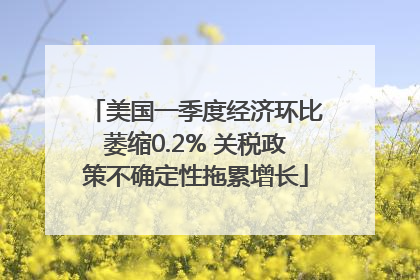 美国一季度经济环比萎缩0.2% 关税政策不确定性拖累增长