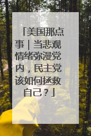 美国那点事｜当悲观情绪弥漫党内，民主党该如何拯救自己？