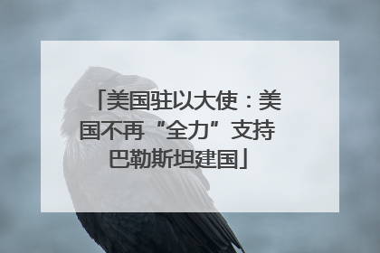 美国驻以大使：美国不再“全力”支持巴勒斯坦建国