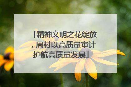 精神文明之花绽放，周村以高质量审计护航高质量发展