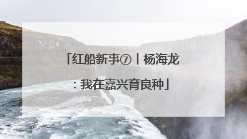 红船新事⑦丨杨海龙：我在嘉兴育良种