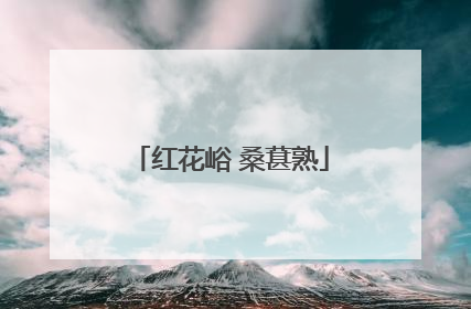 红花峪 桑葚熟