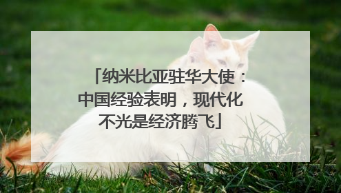 纳米比亚驻华大使：中国经验表明，现代化不光是经济腾飞