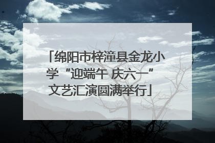 绵阳市梓潼县金龙小学“迎端午 庆六一”文艺汇演圆满举行
