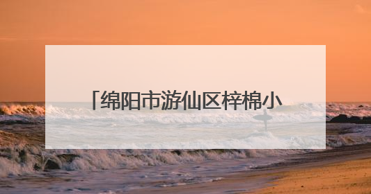 绵阳市游仙区梓棉小学开展小学语文“富乐课堂”教研活动