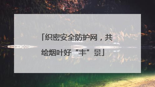 织密安全防护网，共绘烟叶好“丰”景