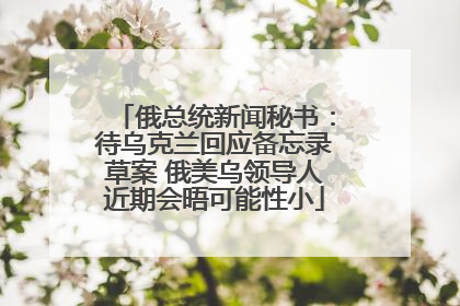 俄总统新闻秘书：待乌克兰回应备忘录草案 俄美乌领导人近期会晤可能性小