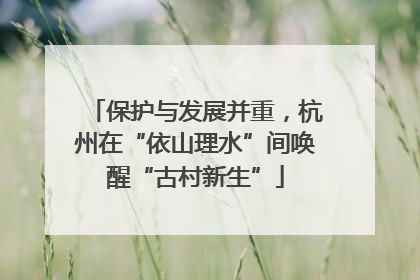 保护与发展并重，杭州在“依山理水”间唤醒“古村新生”
