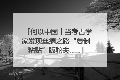 何以中国丨当考古学家发现丝绸之路“复制粘贴”版驼夫……