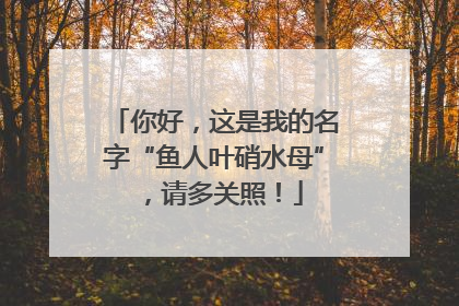 你好，这是我的名字“鱼人叶硝水母”，请多关照！