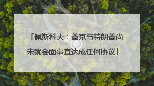 佩斯科夫：普京与特朗普尚未就会面事宜达成任何协议