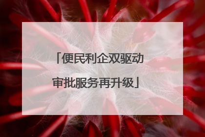 便民利企双驱动 审批服务再升级