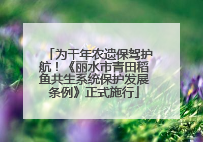 为千年农遗保驾护航！《丽水市青田稻鱼共生系统保护发展条例》正式施行
