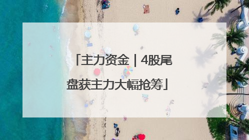主力资金｜4股尾盘获主力大幅抢筹