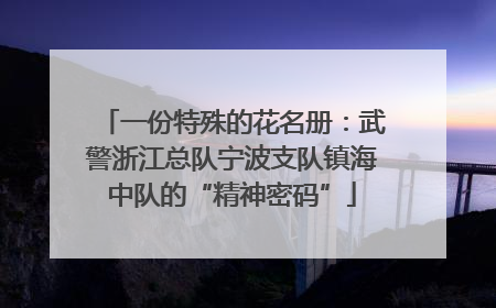一份特殊的花名册：武警浙江总队宁波支队镇海中队的“精神密码”