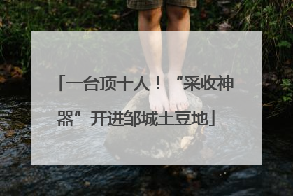 一台顶十人！“采收神器”开进邹城土豆地