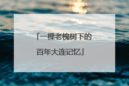 一棵老槐树下的百年大连记忆