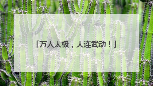 万人太极，大连武动！