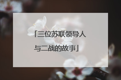 三位苏联领导人与二战的故事