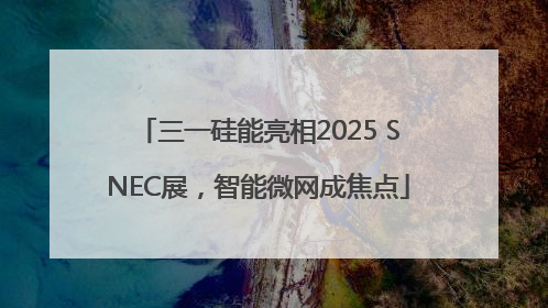 三一硅能亮相2025 SNEC展，智能微网成焦点