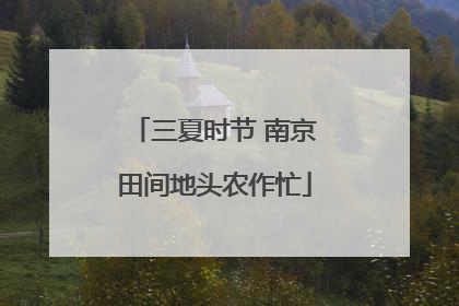 三夏时节 南京田间地头农作忙