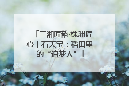 三湘匠韵·株洲匠心丨石天宝：稻田里的“追梦人”