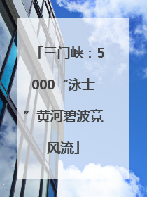 三门峡：5000“泳士”黄河碧波竞风流