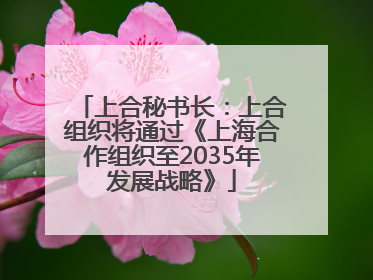 上合秘书长：上合组织将通过《上海合作组织至2035年发展战略》