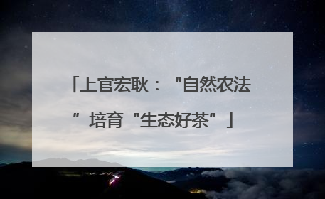 上官宏耿：“自然农法”培育“生态好茶”