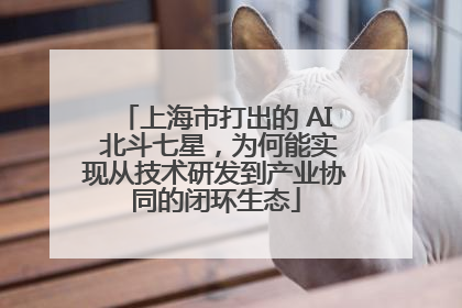 上海市打出的 AI 北斗七星，为何能实现从技术研发到产业协同的闭环生态