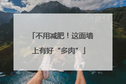 不用减肥！这面墙上有好“多肉”