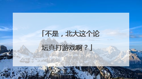 不是，北大这个论坛真打游戏啊？