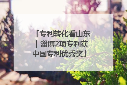专利转化看山东｜淄博2项专利获中国专利优秀奖