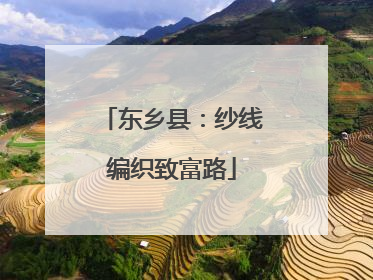 东乡县：纱线编织致富路
