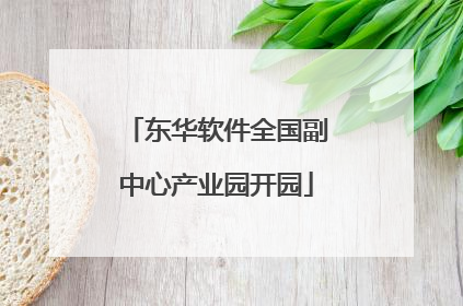 东华软件全国副中心产业园开园