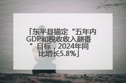 东平县锚定“五年内GDP和税收收入翻番”目标，2024年同比增长5.8%