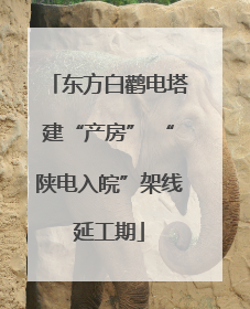 东方白鹳电塔建“产房” “陕电入皖”架线延工期