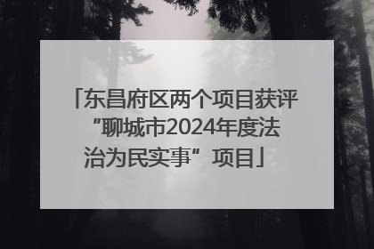 东昌府区两个项目获评“聊城市2024年度法治为民实事”项目