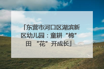 东营市河口区湖滨新区幼儿园：童耕“棉”田 “花”开成长
