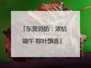 东营消防：浓情端午 粽叶飘香