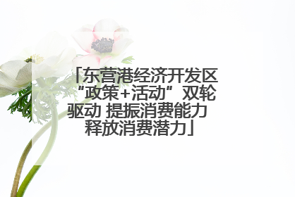 东营港经济开发区“政策+活动”双轮驱动 提振消费能力 释放消费潜力