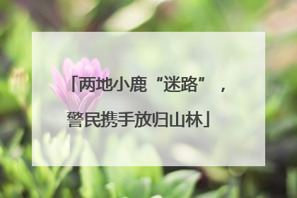 两地小鹿“迷路”，警民携手放归山林