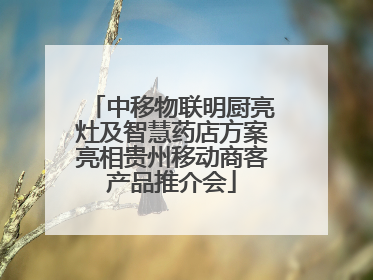 中移物联明厨亮灶及智慧药店方案亮相贵州移动商客产品推介会
