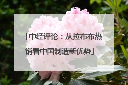 中经评论：从拉布布热销看中国制造新优势
